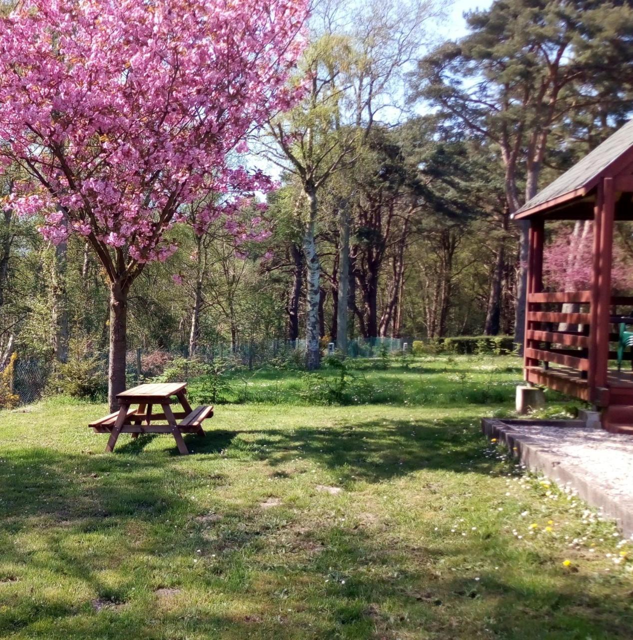 Camping Les Falaises De Toussaint Kültér fotó